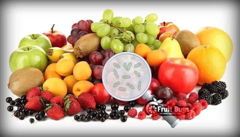 FruitBuys Vietnam What are the additives and contaminants in dried fruit and food FruitBuys Vietnam What Are The Additives And Contaminants In Dried Fruit And Food