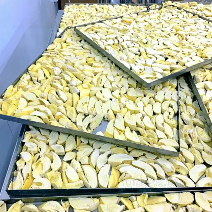 FruitBuys Vietnam Freeze Dried Fruit_Freeze Dried Durian 3456467 (4)