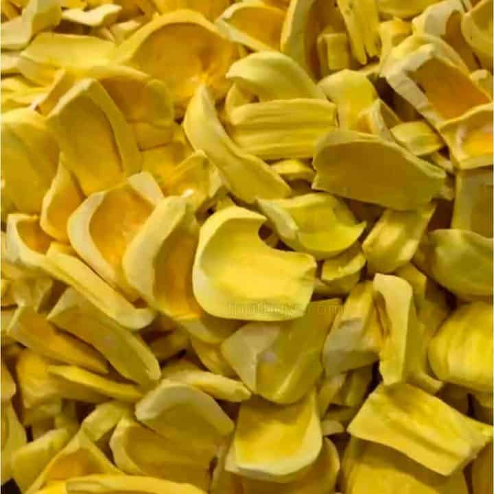 FruitBuys Vietnam Freeze Dried Jackfruit (1)