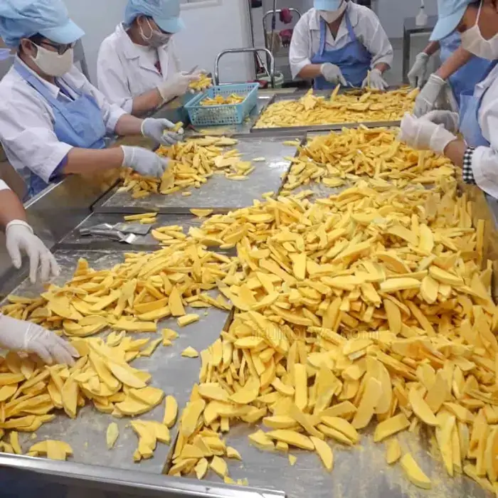 FruitBuys Vietnam Freeze Dried Fruit_Freeze Dried Mango (5)