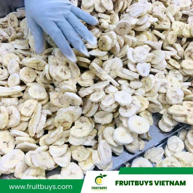 FruitBuys Vietnam  1  Freeze Dried Banana (6)