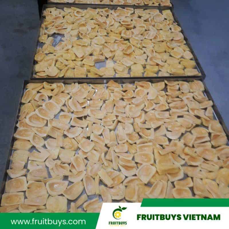 fruitbuys vietnam freeze dried jackfruit healthy snacks 24 FruitBuys Vietnam Freeze Dried Jackfruit Healthy Snacks (24)