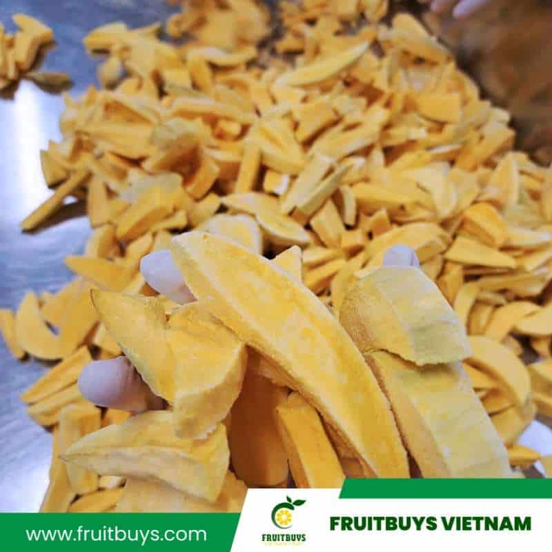 fruitbuys vietnam 230509 freeze dried mango 23 FruitBuys Vietnam 230509 Freeze Dried Mango (23)