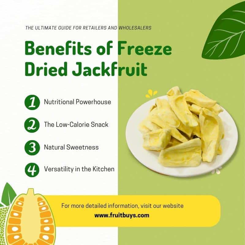 FruitBuys Vietnam  Benefits Of Freeze Dried Jackfruit 23110