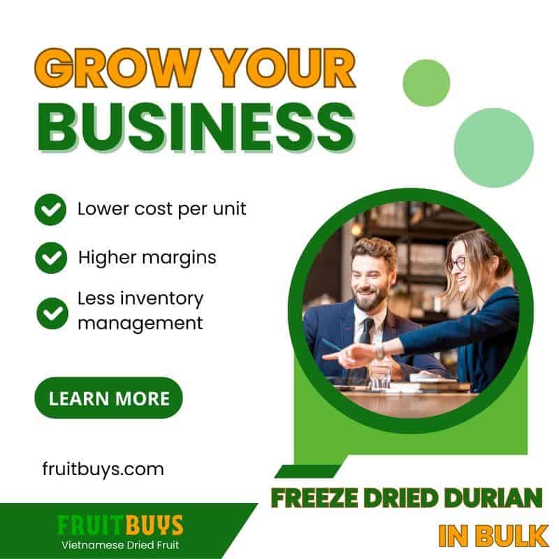 FruitBuys Vietnam  Freeze Dried Durian Bulk 23930