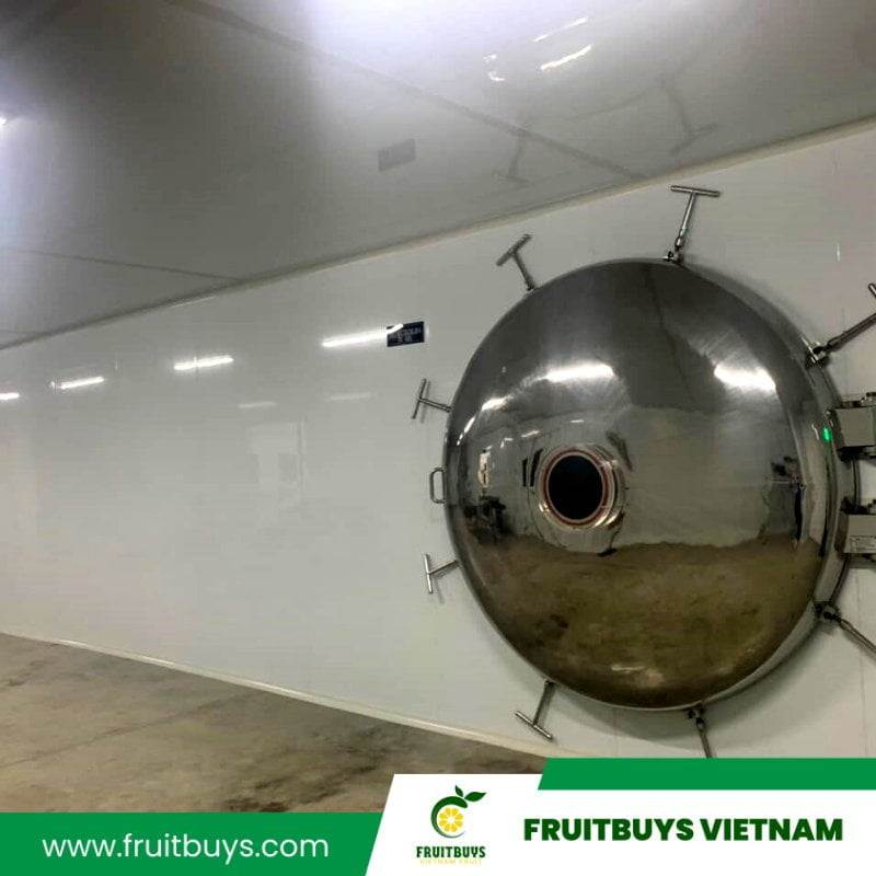 FruitBuys Vietnam  230425  Freeze Drying (5)