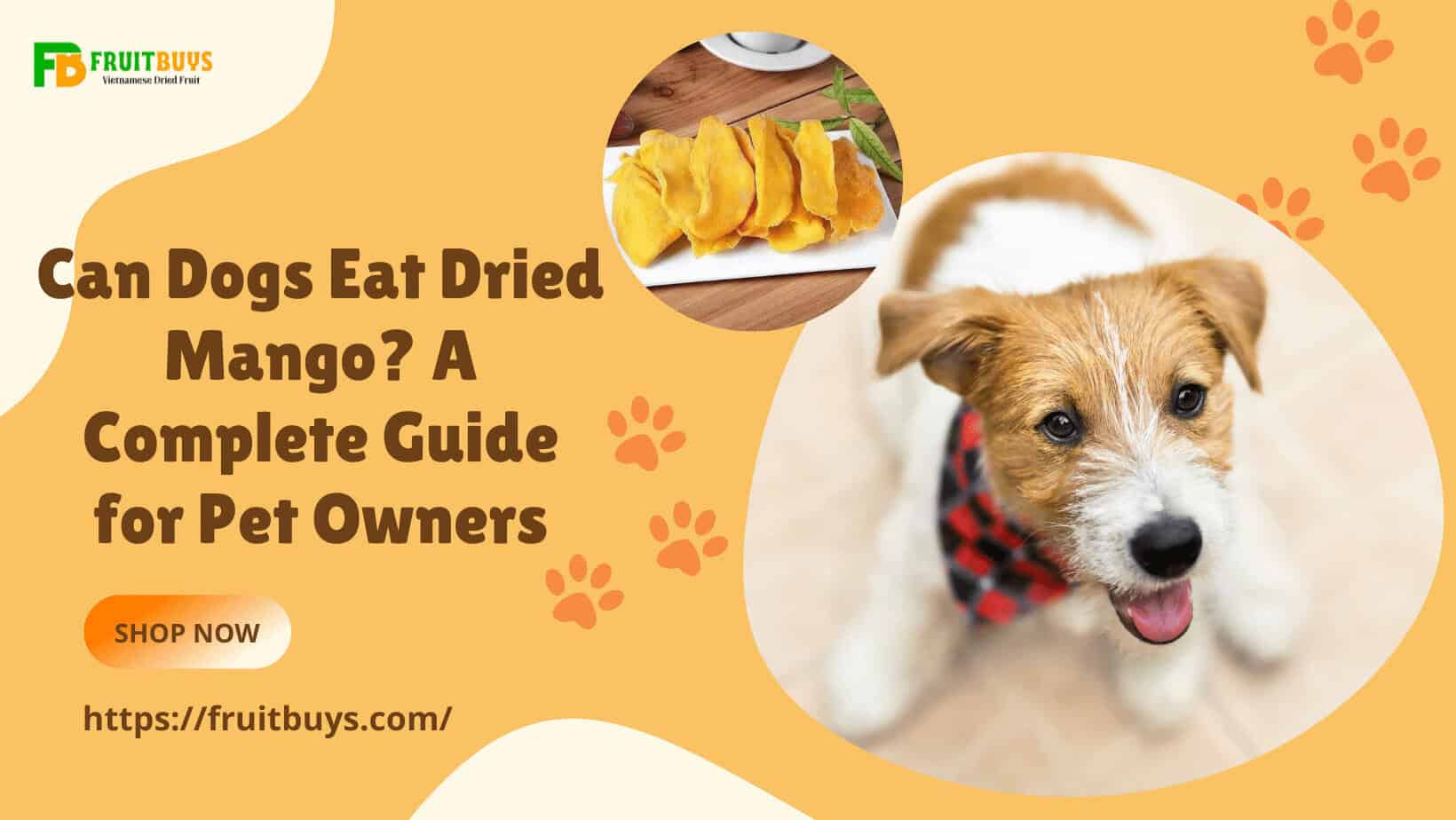 FruitBuys Vietnam  Can Dogs Eat Dried Mango A Complete Guide For Pet Owners