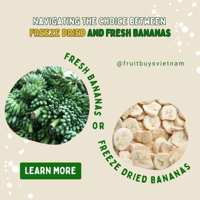 FruitBuys Vietnam Freeze Dried Bananas Vs Fresh Bananas 231013