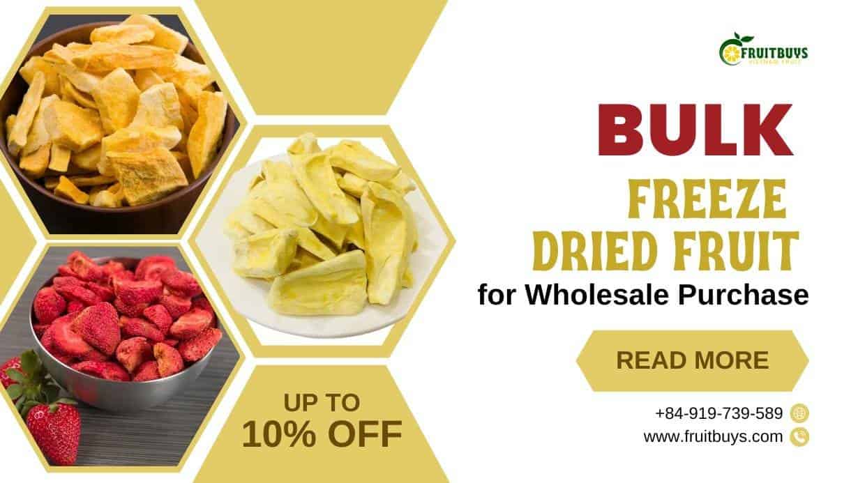 Unlock The Delicious Potential: Bulk Freeze Dried Fruit For Wholesale Purchase Fruitbuys Vietnam Bulk Freeze Dried Fruit For Wholesale Purchase
