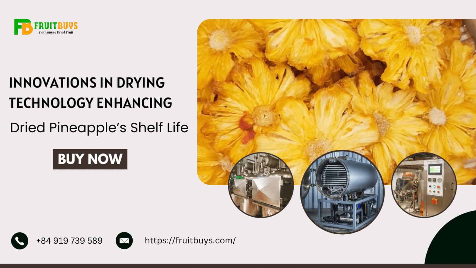 Innovations In Drying Technology Enhancing Dried Pineapple’s Shelf Life