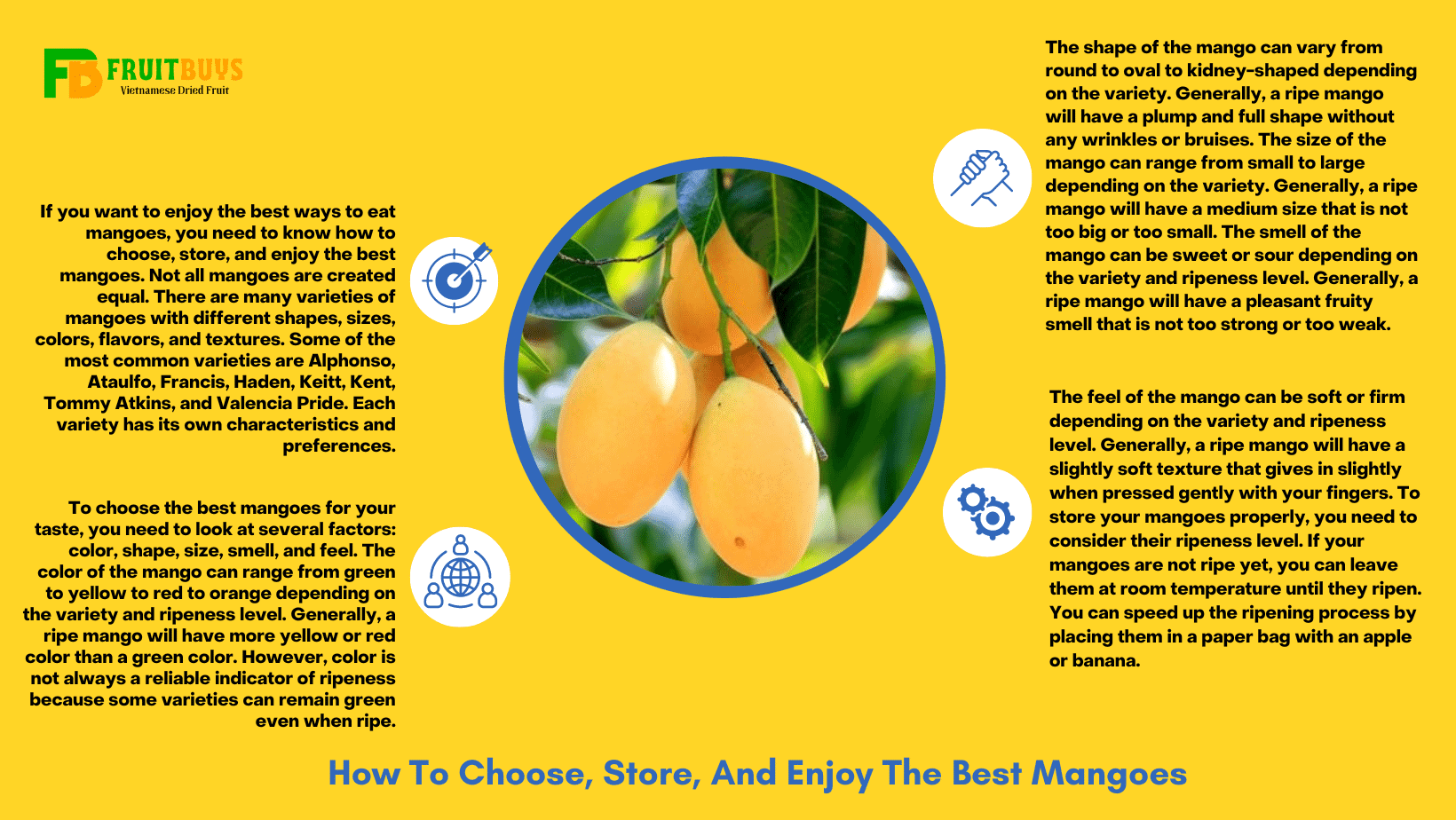 fruitbuys vietnam how to choose store and enjoy the best mangoes FruitBuys Vietnam How To Choose, Store, And Enjoy The Best Mangoes