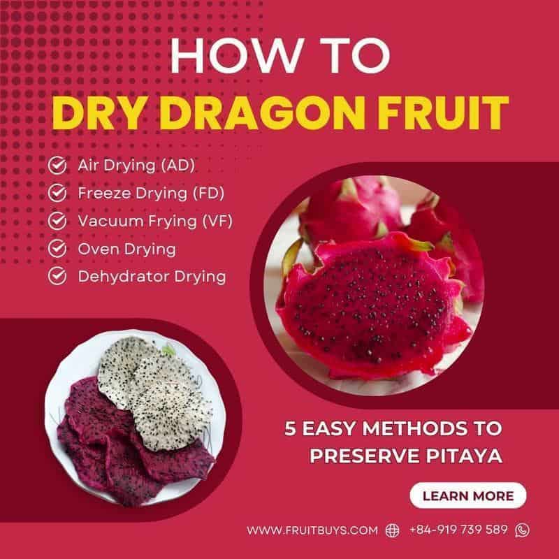 FruitBuys Vietnam  How To Dry Dragon Fruit 23924