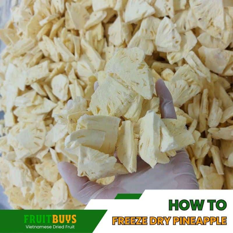 FruitBuys Vietnam  How To Freeze Dry Pineapple 23919