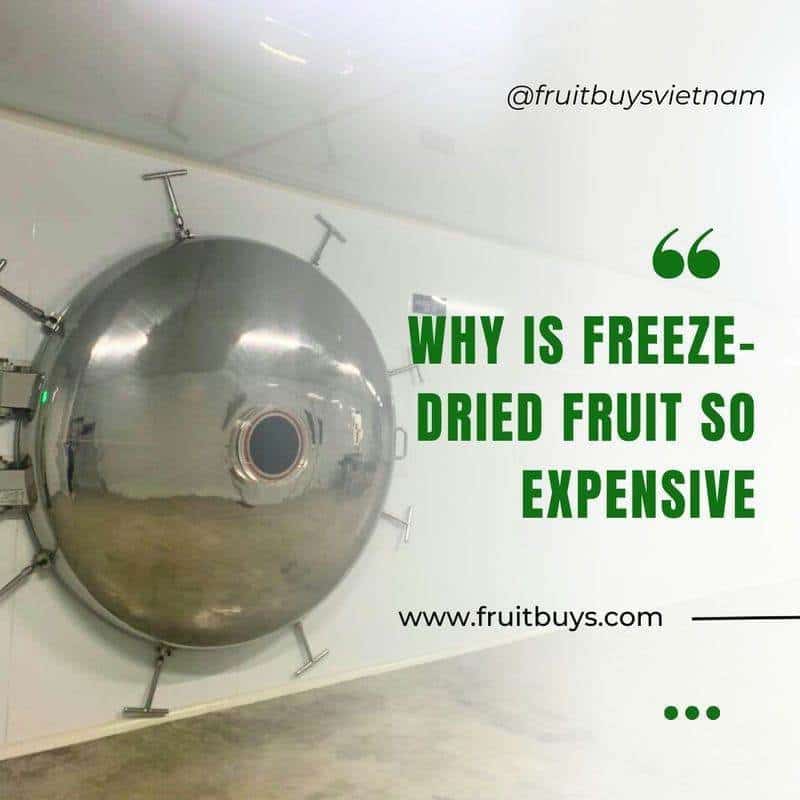 FruitBuys Vietnam Why Is Freeze Dried Fruit So Expensive 231010