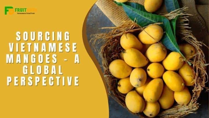 FruitBuys Vietnam Fruitbuys Vietnam Sourcing Vietnamese Mangoes A Global Perspective 720x406
