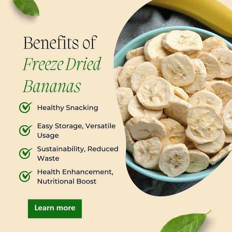 FruitBuys Vietnam 5 231013 FruitBuys Vietnam Benefits of Freeze Dried Banana 231013