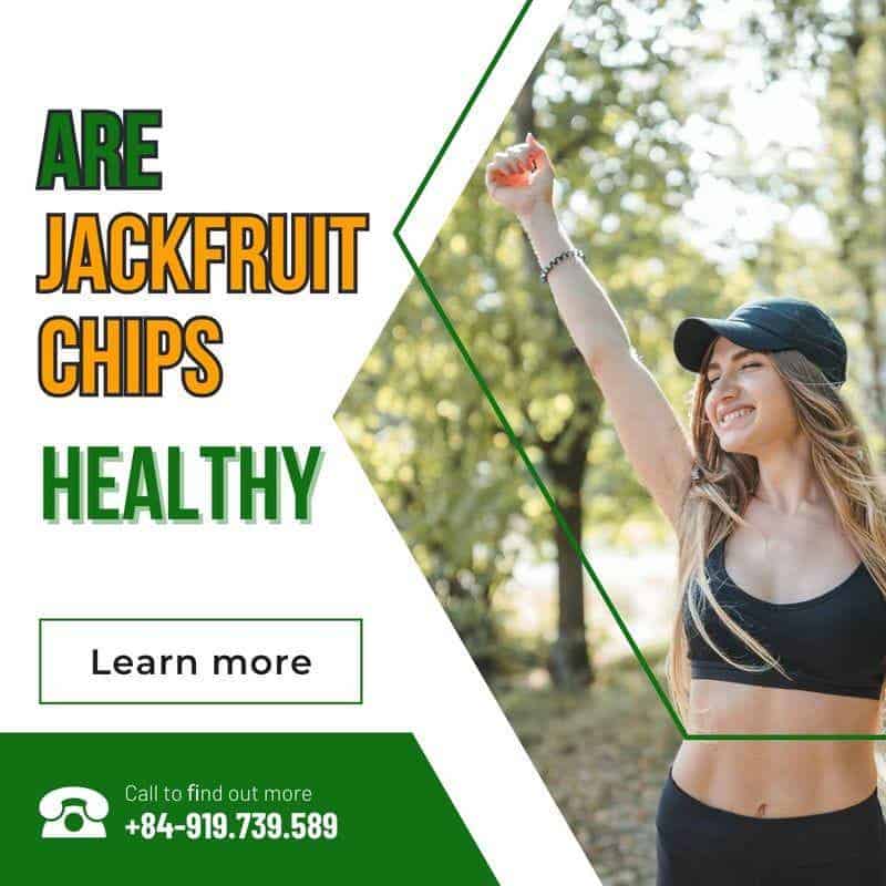 FruitBuys Vietnam  Are Jackfruit Chips Healthy 231011
