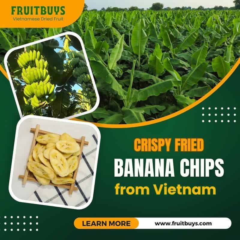 FruitBuys Vietnam Crispy Fried Banana Chips in Vietnam 231021 FruitBuys Vietnam Crispy Fried Banana Chips In Vietnam 231021