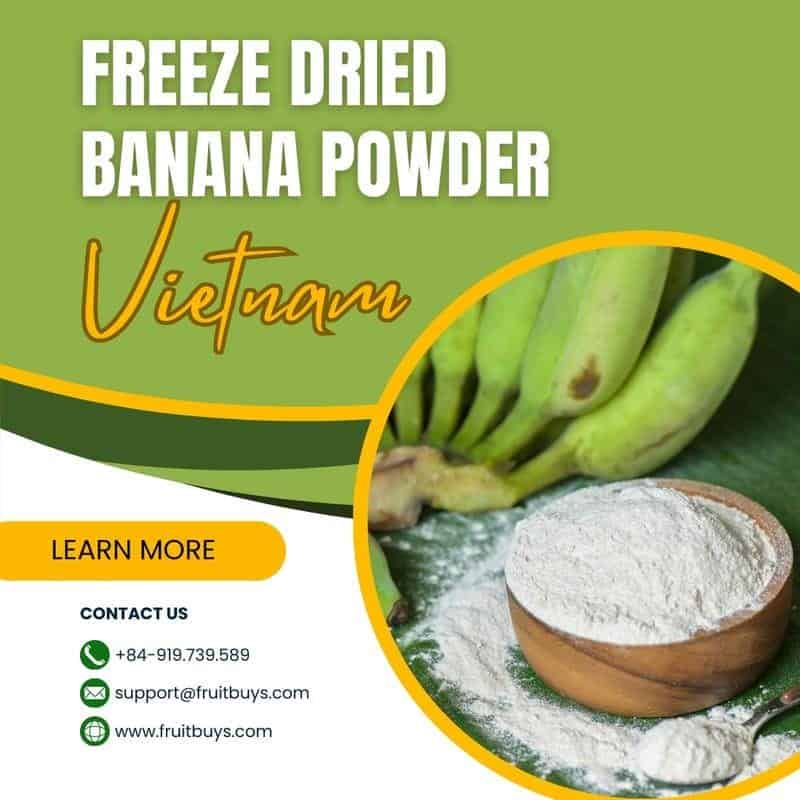 FruitBuys Vietnam Freeze Dried Banana Powder in Vietnam 231021 FruitBuys Vietnam Freeze Dried Banana Powder In Vietnam 231021