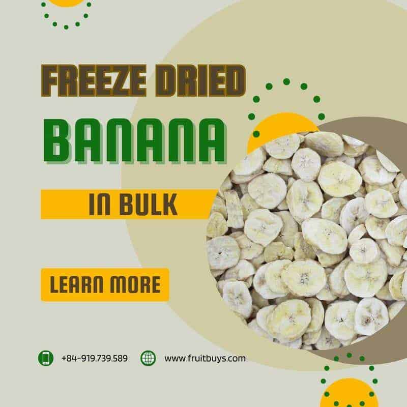 FruitBuys Vietnam Freeze Dried Banana in Bulk 231013 FruitBuys Vietnam Freeze Dried Banana In Bulk 231013