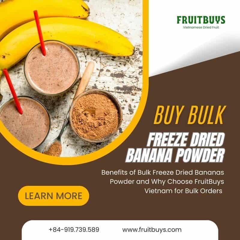 FruitBuys Vietnam  Freeze Dried Bananas Powder In Bulk 231021