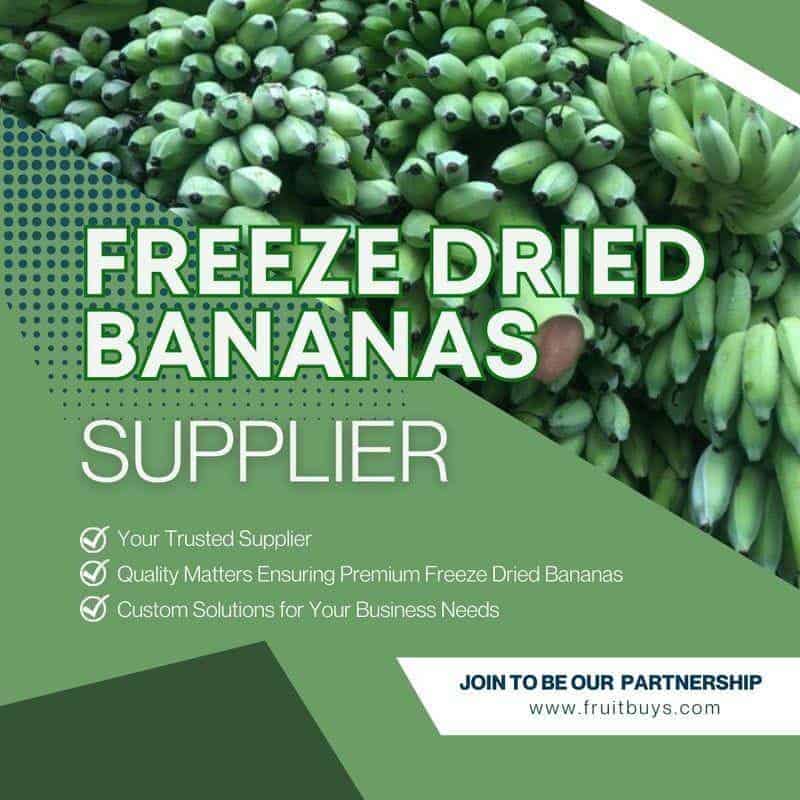 FruitBuys Vietnam Freeze Dried Bananas Supplier 231013 FruitBuys Vietnam Freeze Dried Bananas Supplier 231013