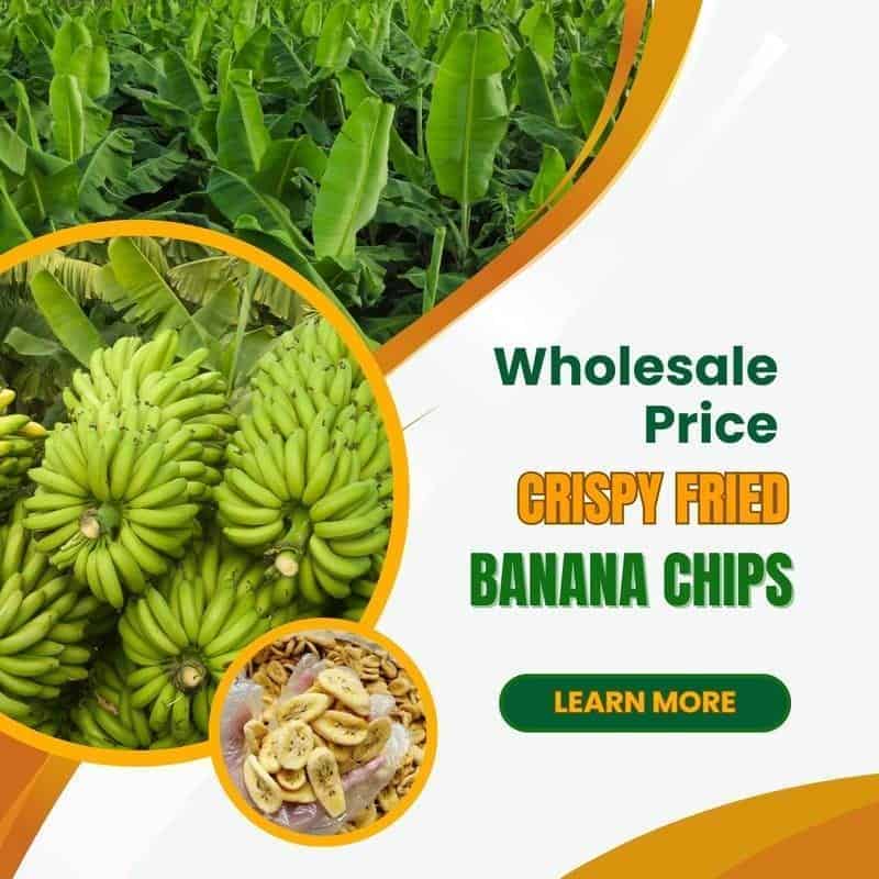 FruitBuys Vietnam How Much Is The Wholesale Price Of Fried Banana Chips 231021