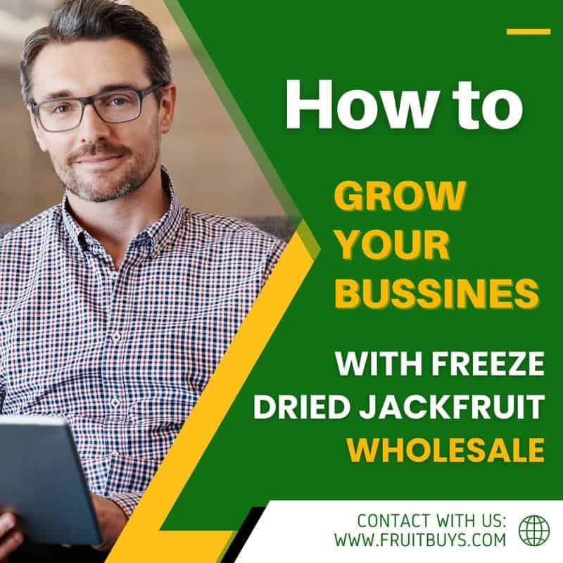 FruitBuys Vietnam How To Grow Your Business With Freeze Dried Jackfruit Wholesale 23108