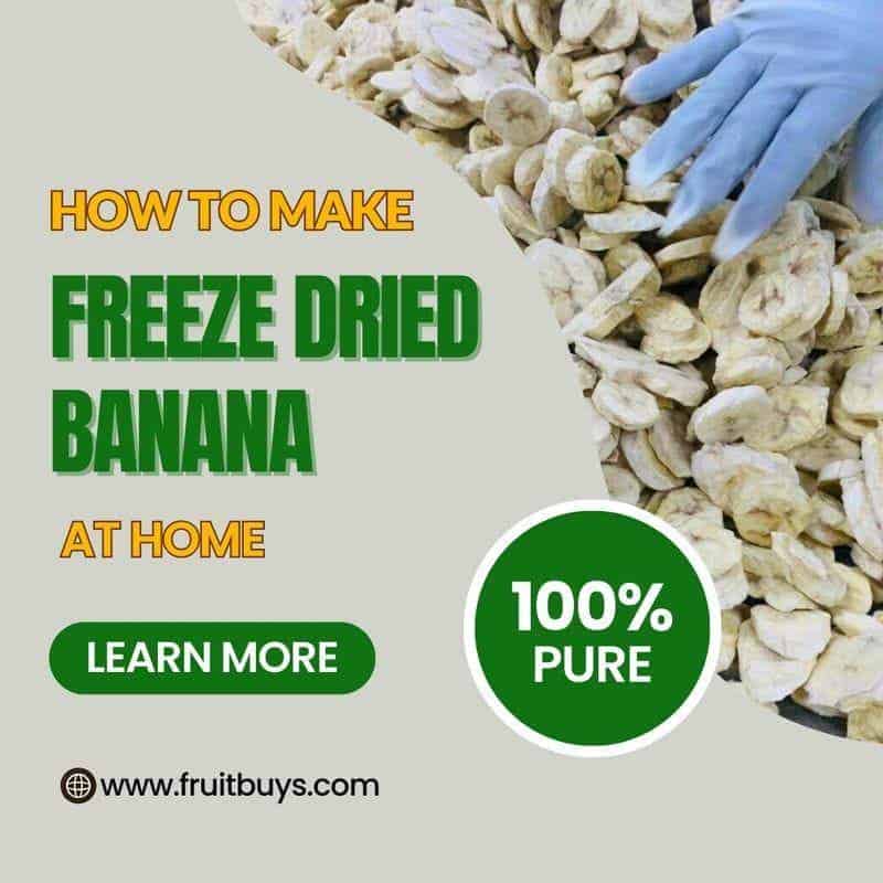 FruitBuys Vietnam How to Make Freeze Dried Banana at Home 231013 FruitBuys Vietnam How To Make Freeze Dried Banana At Home 231013