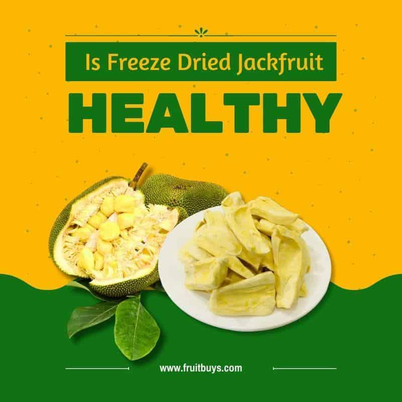 FruitBuys Vietnam  Is Freeze Dried Jackfruit Healthy 23108