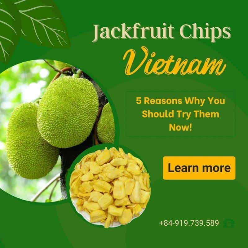 FruitBuys Vietnam  Jackfruit Chips In Vietnam 231011