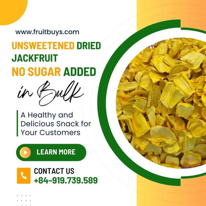 FruitBuys Vietnam  Unsweetened Dried Jackfruit No Sugar Added In Bulk 231010