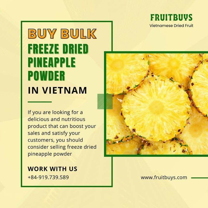 FruitBuys Vietnam Where to Buy Bulk Freeze Dried Pineapple Powder in Vietnam 231024 FruitBuys Vietnam Where To Buy Bulk Freeze Dried Pineapple Powder In Vietnam 231024