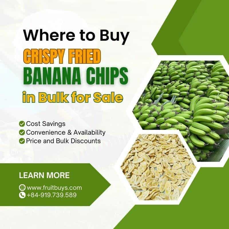 FruitBuys Vietnam Where To Buy Crispy Fried Banana Chips In Bulk For Sale 231021