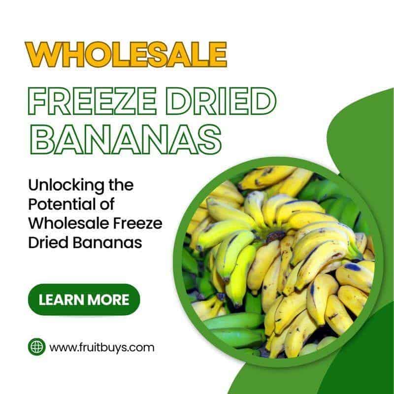 FruitBuys Vietnam Wholesale Freeze Dried Bananas 231013 FruitBuys Vietnam Wholesale Freeze Dried Bananas 231013