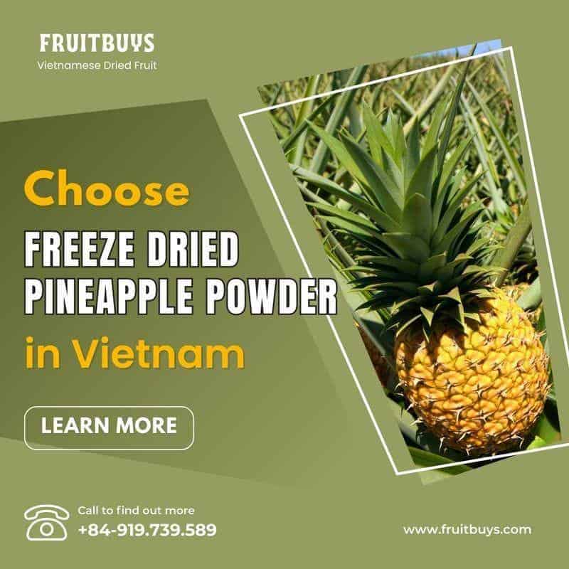 FruitBuys Vietnam  Why Should You Choose Freeze Dried Pineapple Powder In Vietnam 231024