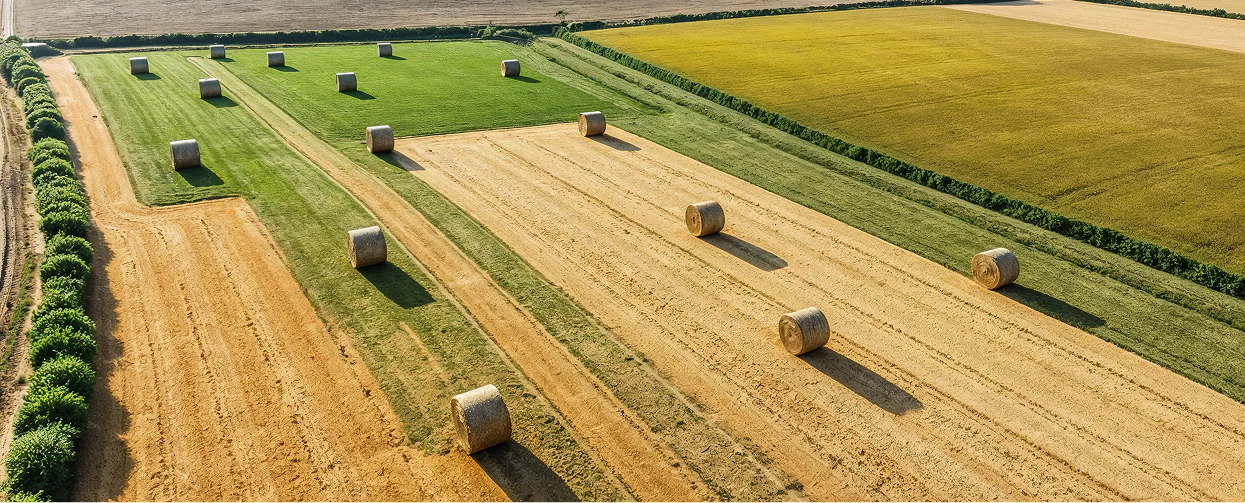 Home Home Page Grid Image 2