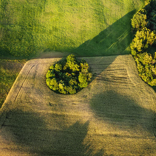 Home Home Solutions Image 2