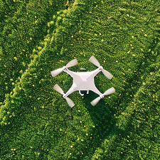 Home Home Subscribe Image 1