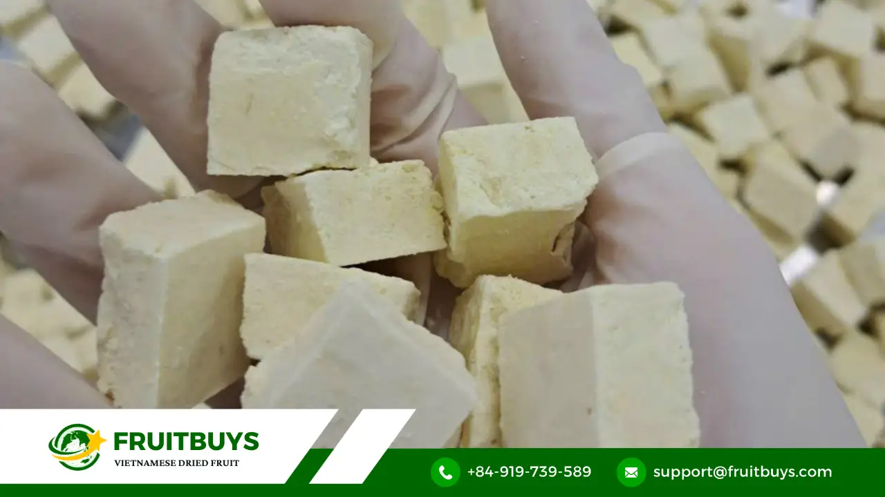 FruitBuys Vietnam 231220 Freeze Dried Durian