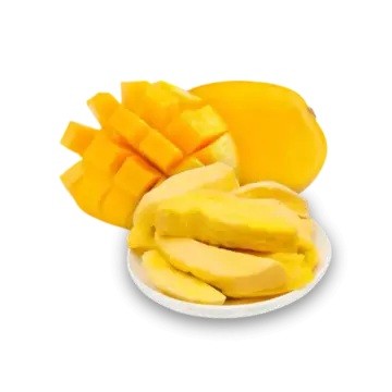 FruitBuys Vietnam 231221 Freeze Dried Mango 1 FruitBuys Vietnam 231221 Freeze Dried Mango 1