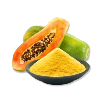 FruitBuys Vietnam 231221 Freeze Dried Papaya Powder FruitBuys Vietnam 231221 Freeze Dried Papaya Powder