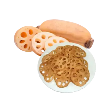 FruitBuys Vietnam   231221 Lotus Root Chips