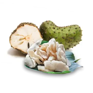 FruitBuys Vietnam 231221 Soft Dried Soursop Low Sugar FruitBuys Vietnam 231221 Soft Dried Soursop Low Sugar