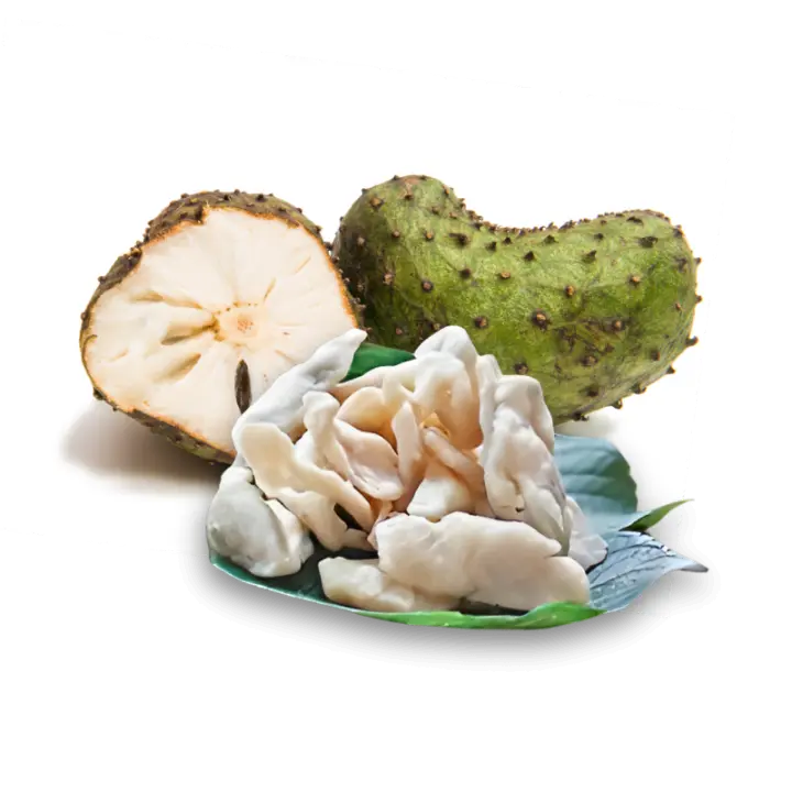 FruitBuys Vietnam 231221 Soft Dried Soursop Low Sugar FruitBuys Vietnam 231221 Soft Dried Soursop Low Sugar