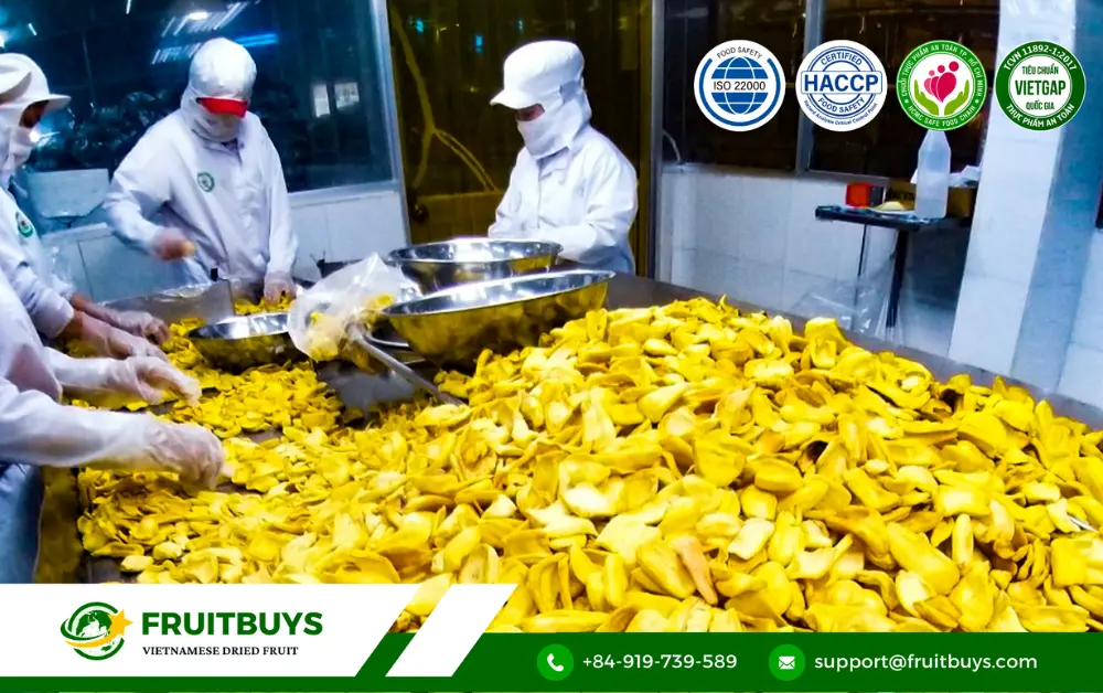 FruitBuys Vietnam 1. From Tropical Treasure To Crispy Delight_ Unveiling The Journey Of FruitBuys Vietnam's Jackfruit Chips