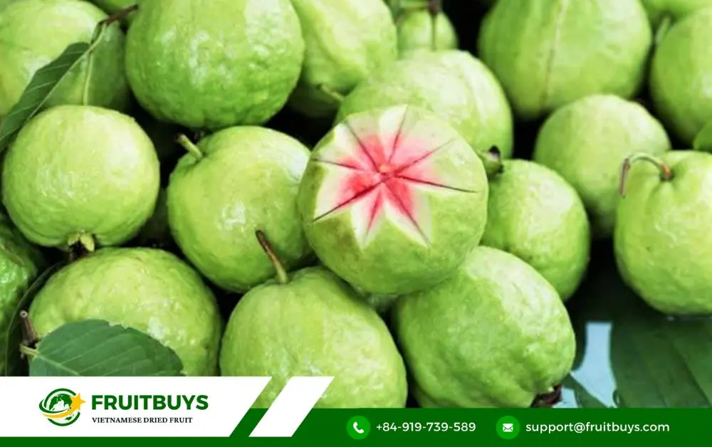 fruitbuys vietnam 4. fruitbuys vietnam your trusted partner for premium dried guava powder FruitBuys Vietnam 4. FruitBuys Vietnam_ Your Trusted Partner For Premium Dried Guava Powder