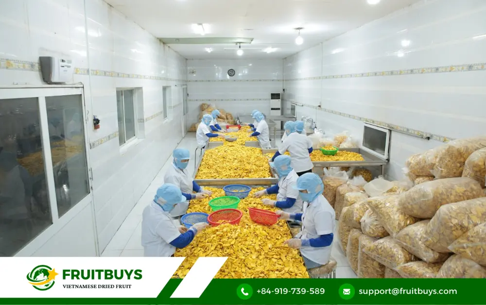 fruitbuys vietnam 5. why choose fruitbuys vietnam your partner for premium jackfruit chips FruitBuys Vietnam 5. Why Choose FruitBuys Vietnam_ Your Partner For Premium Jackfruit Chips