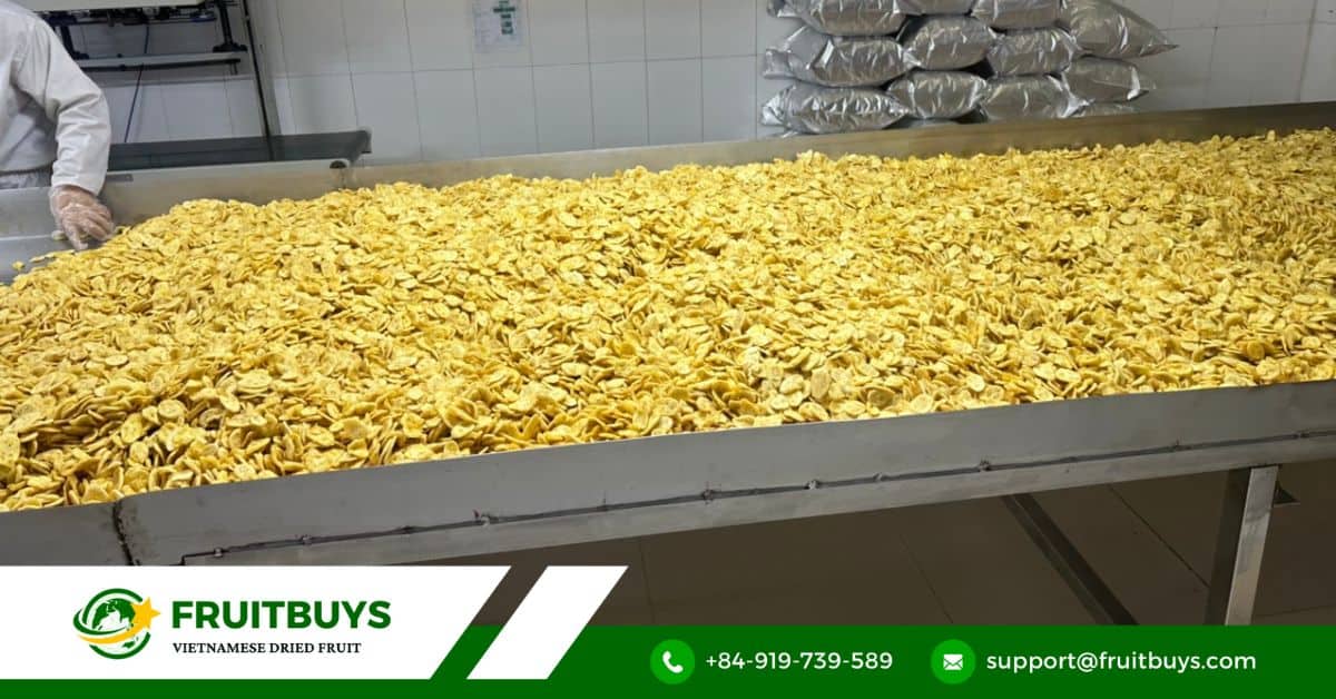 fruitbuys vietnam benefits of vacuum frying for food preservation and quality Benefits Of Vacuum Frying For Food Preservation And Quality