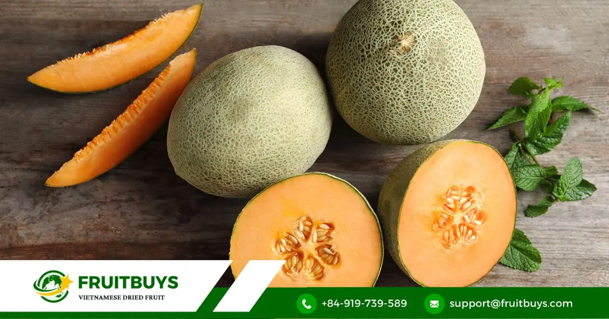 FruitBuys Vietnam Cantaloupe
